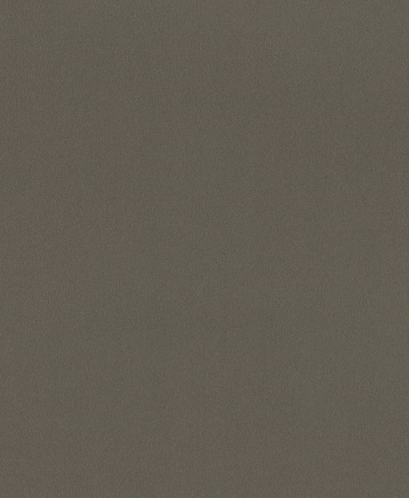 Shutter - 0016