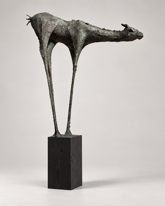 Hartstochtelijk (Paard)