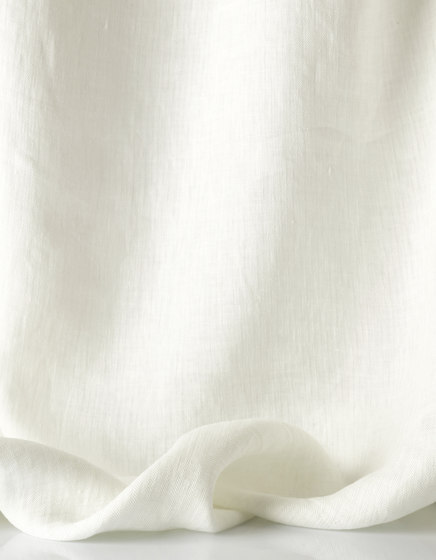Signor Darcy | Col.1 Bianco