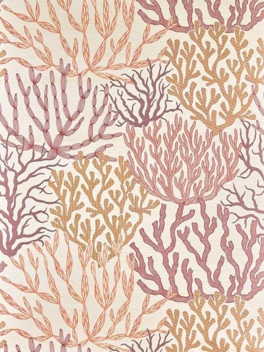 Acropora