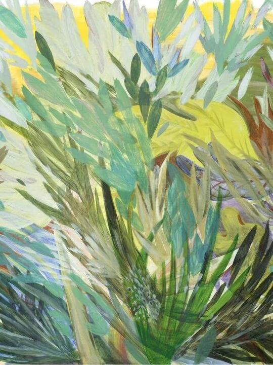 Aloe
