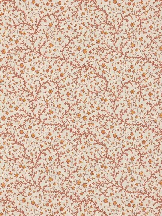 Fleurs de corail
