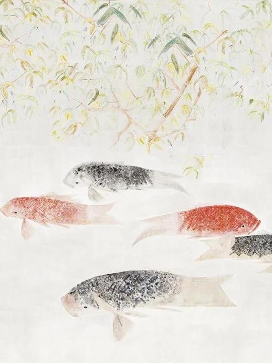 Les carpes