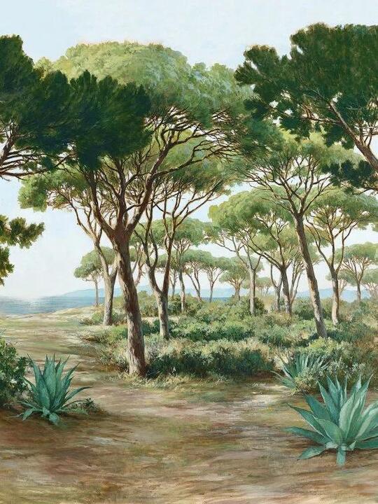 L'esterel (Stoffen)