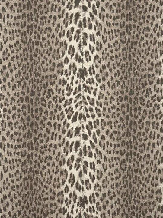 Panthera