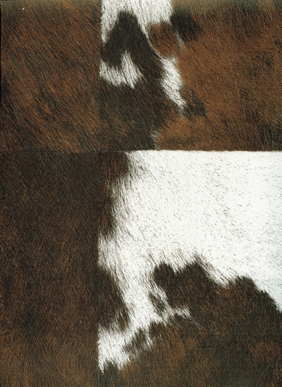Natives | Veracruz VP 629 01