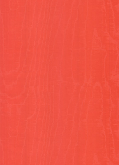 Mirage Illusion - 99009