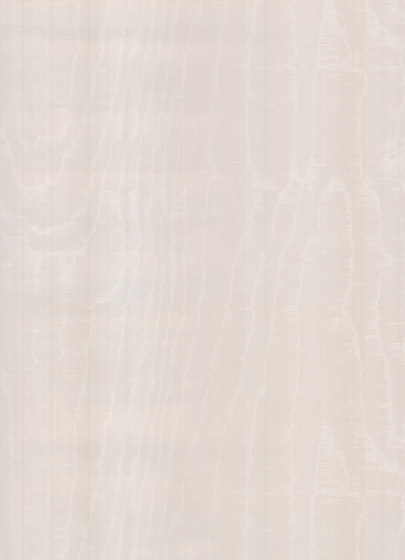 Mirage Illusion - 99010