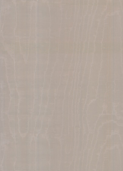 Mirage Illusion - 99012