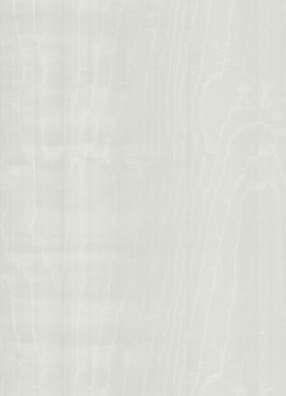 Mirage Illusion - 99016