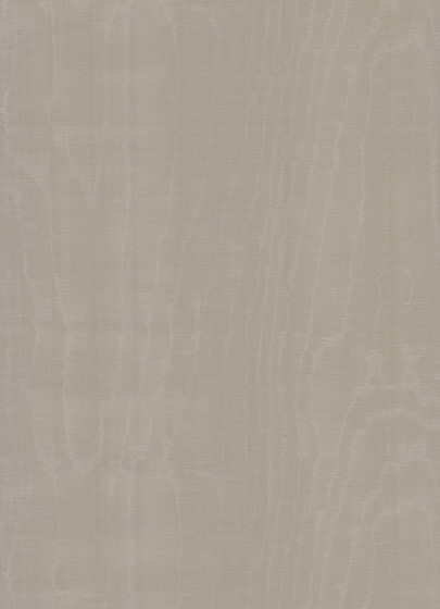 Mirage Illusion - 99020