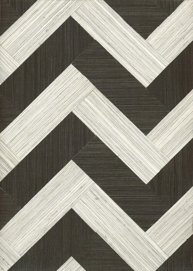 Oculaire Combine - 80650