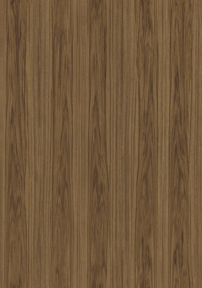 Ligna Roots - 42050