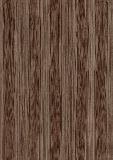 Ligna Roots - 42053
