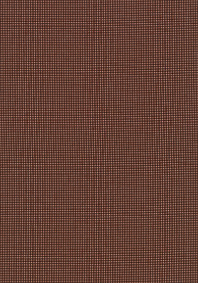 Pro 3 - 0264