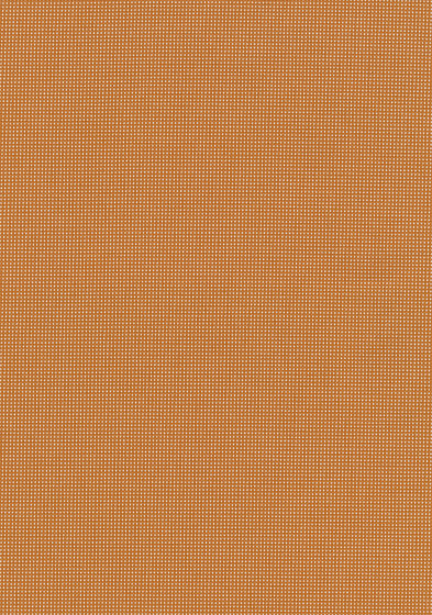 Pro 3 - 0424