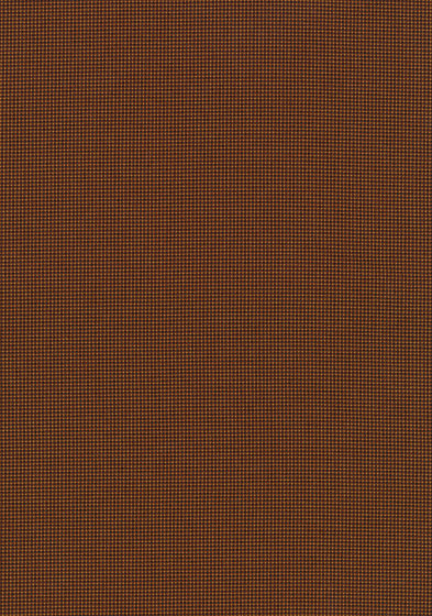 Pro 3 - 0464