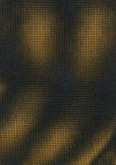 Pro 3 - 0494