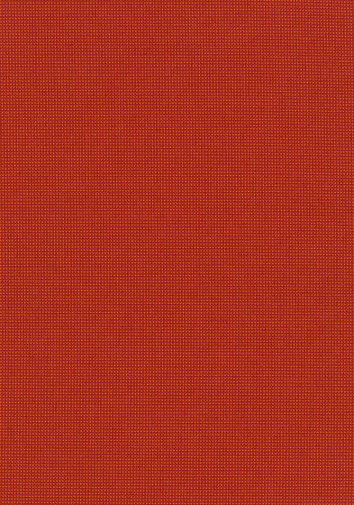 Pro 3 - 0544