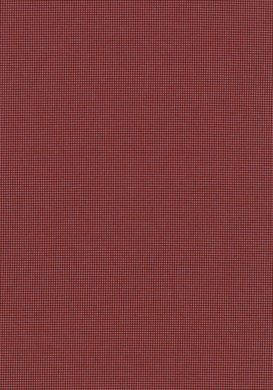Pro 3 - 0644