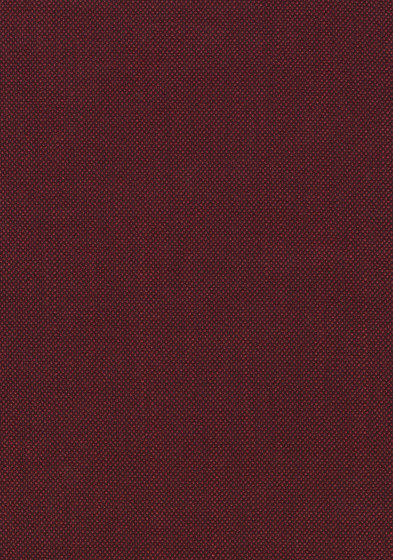 Sunniva 3 - 0662