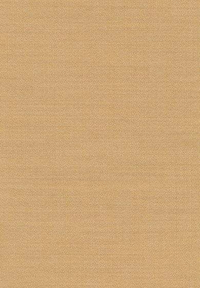 San - 0220