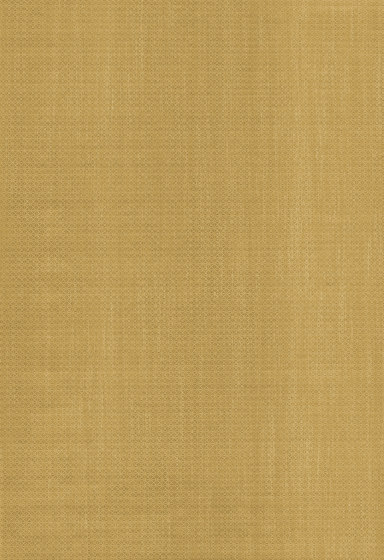 Alchemy Magnus - 25006