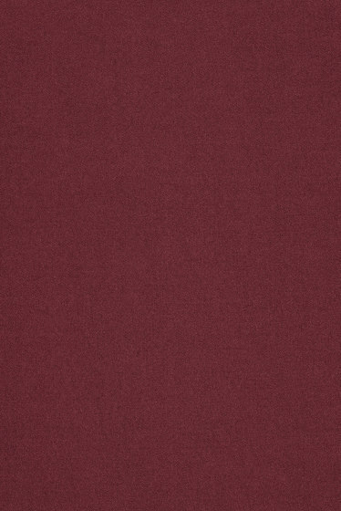 Campas 300 - 0684