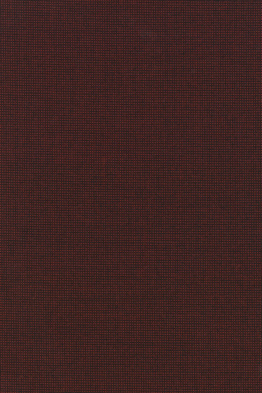 Sabi - 0581