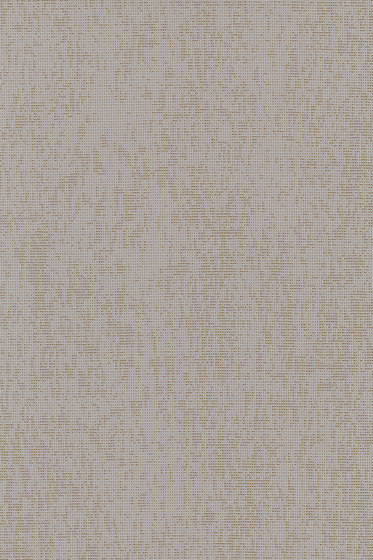 Atrium Outdoor - 0231
