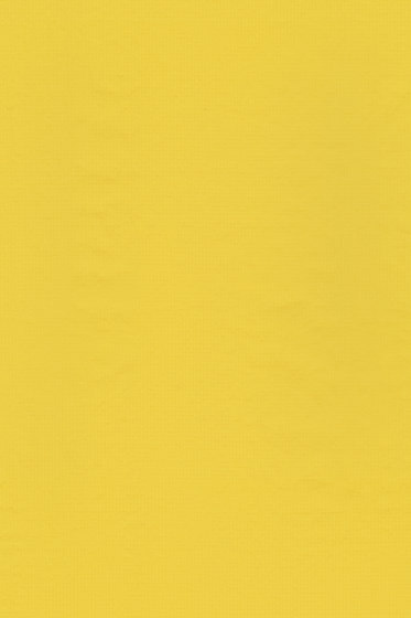 Blow - 0012