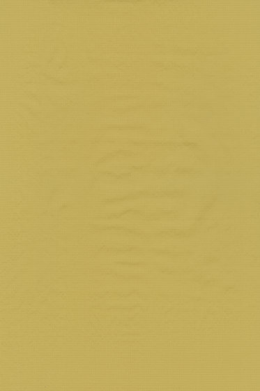 Blow - 0032
