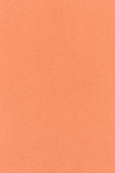 Campas 300 - 0544