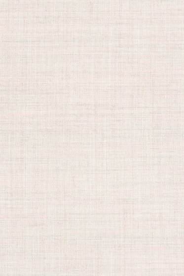 Canvas 2 - 0216