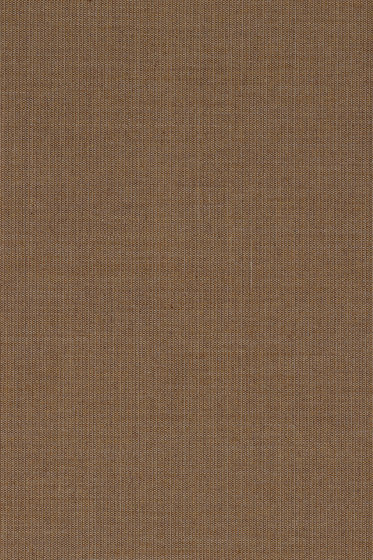 Canvas 2 - 0254