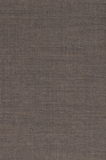 Canvas 2 - 0264