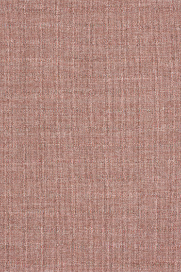 Canvas 2 - 0356