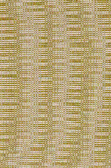 Canvas 2 - 0414
