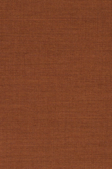 Canvas 2 - 0454