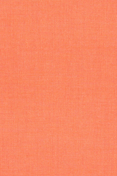 Canvas 2 - 0546