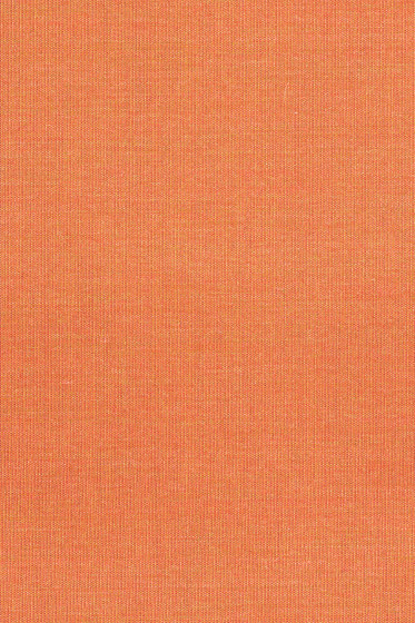 Canvas 2 - 0556