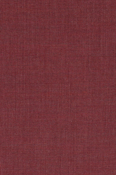 Canvas 2 - 0654