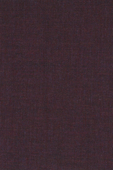 Canvas 2 - 0694