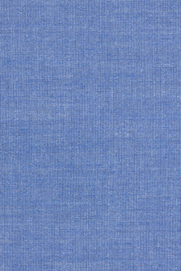 Canvas 2 - 0726