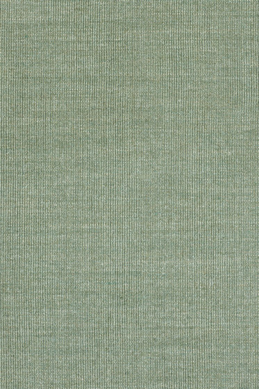 Canvas 2 - 0926