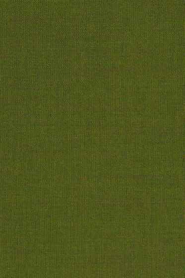Canvas 2 - 0954