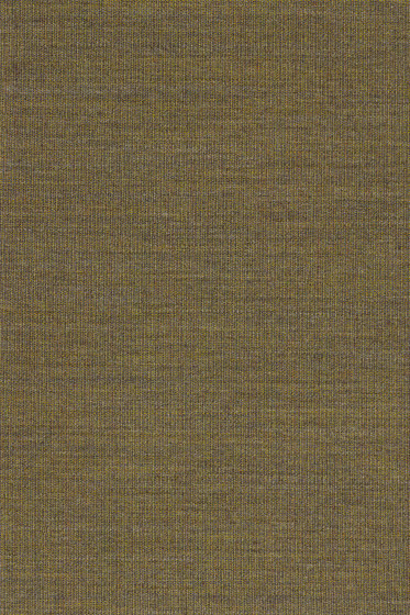 Canvas 2 - 0964