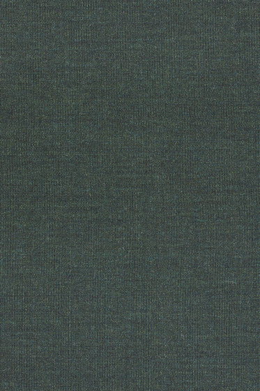Canvas 2 - 0996