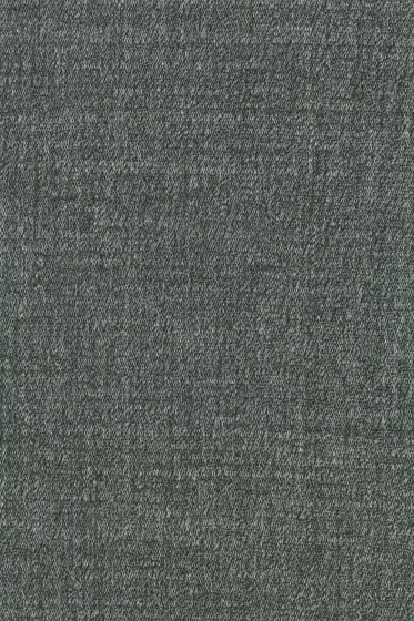 Cheno - 0014