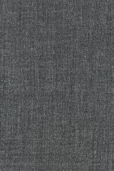 Cheno - 0023